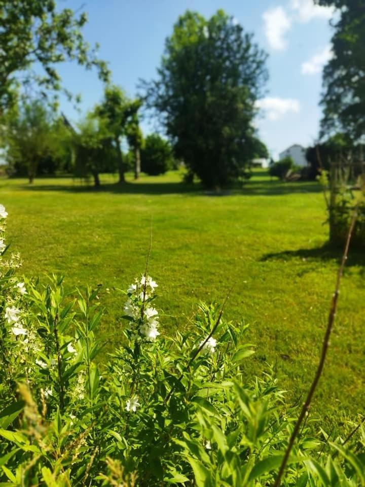 Gite A Brouca Gouvy Bagian luar foto